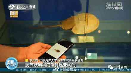 甲壳先生的化妆品咋样(甲壳素化妆品怎么样)插图5