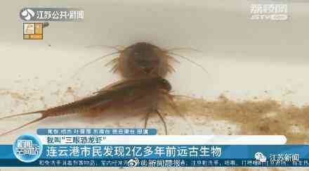 甲壳先生的化妆品咋样(甲壳素化妆品怎么样)插图6