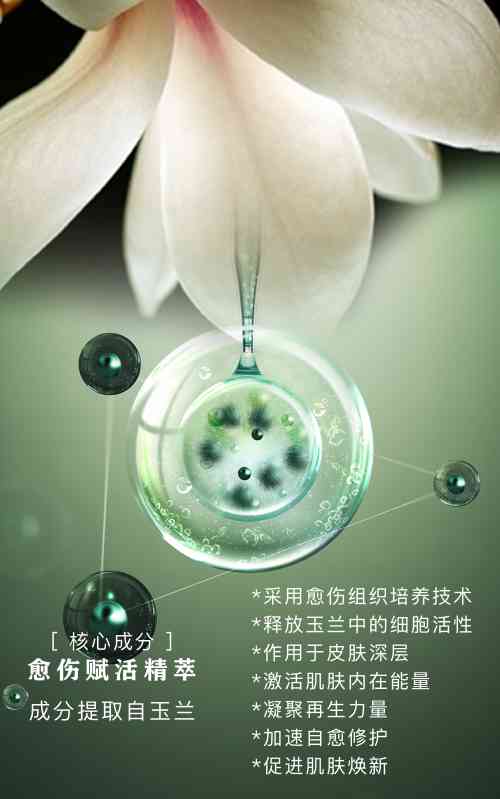 诗臻泊化妆品排名第几(上海诗臻泊化妆品有限公司)插图10 诗臻泊化妆品排名第几(上海诗臻泊化妆品有限公司)插图10