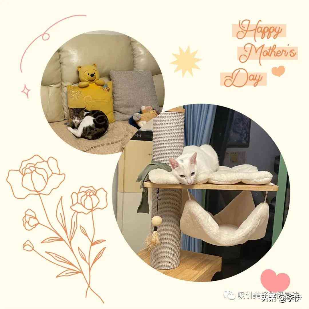 深圳化妆品滤袋市场价(深圳化妆品报价)插图1