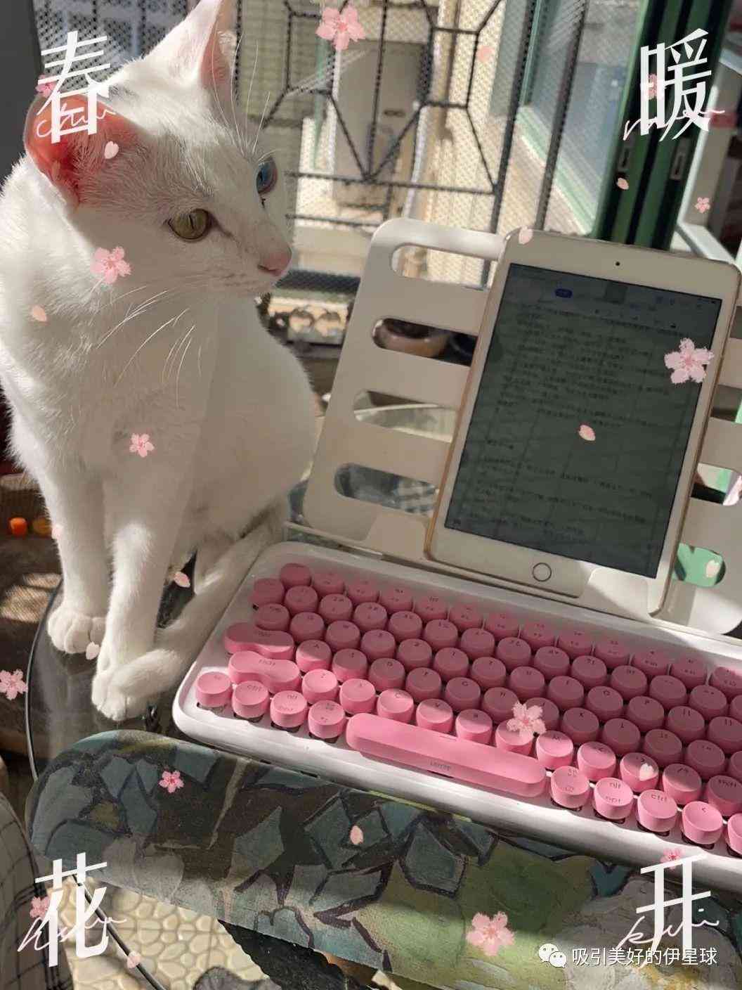 深圳化妆品滤袋市场价(深圳化妆品报价)插图3