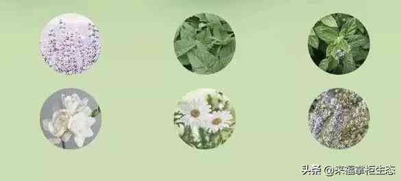 老虎是什么牌子化妆品(黑老虎化妆品)插图5 老虎是什么牌子化妆品(黑老虎化妆品)插图5