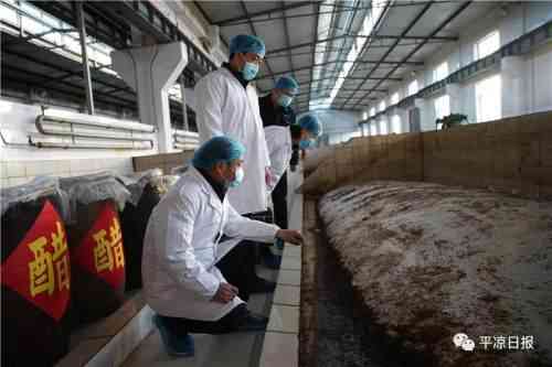 平凉大品牌各种化妆品(甘肃化妆品公司排名)插图3