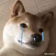 用含激素的化妆品的危害(用含激素的化妆品有什么危害)插图4