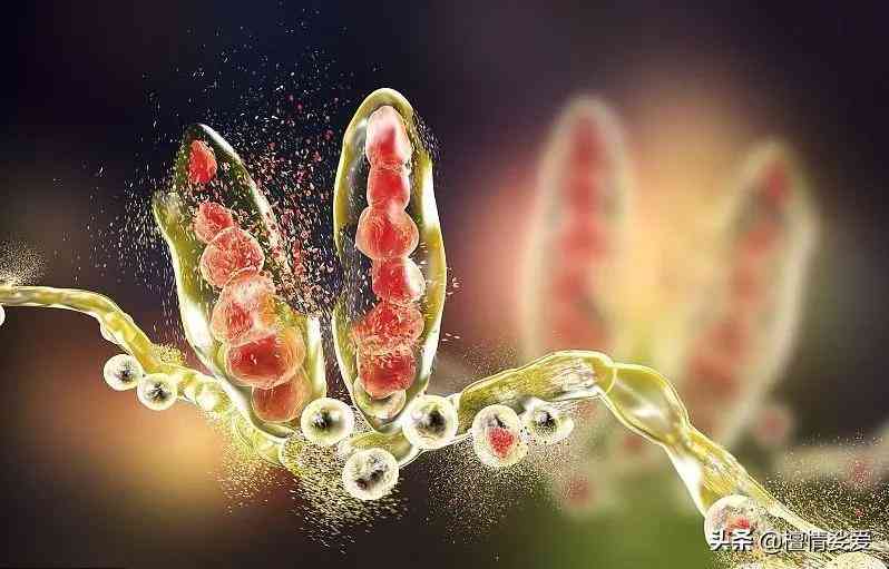 用含激素的化妆品的危害(用含激素的化妆品有什么危害)插图5