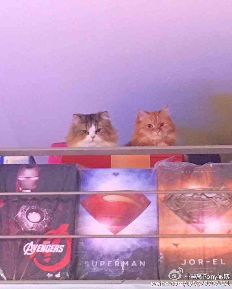 雅芳化妆品顺序推荐表(雅芳化妆品顺序推荐表图片)插图4 雅芳化妆品顺序推荐表(雅芳化妆品顺序推荐表图片)插图4