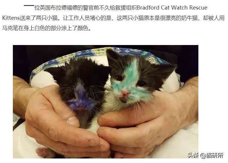 猫蹭到化妆品上怎么办啊(被猫蹭了一下怎么办)插图9 猫蹭到化妆品上怎么办啊(被猫蹭了一下怎么办)插图9
