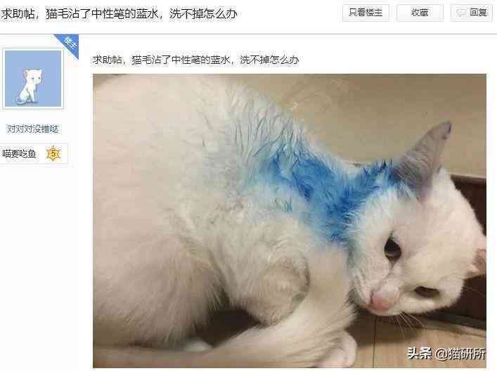 猫蹭到化妆品上怎么办啊(被猫蹭了一下怎么办)插图12 猫蹭到化妆品上怎么办啊(被猫蹭了一下怎么办)插图12