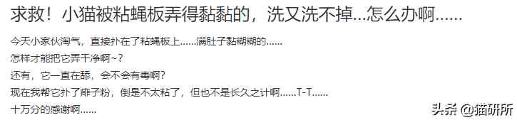 猫蹭到化妆品上怎么办啊(被猫蹭了一下怎么办)插图16 猫蹭到化妆品上怎么办啊(被猫蹭了一下怎么办)插图16