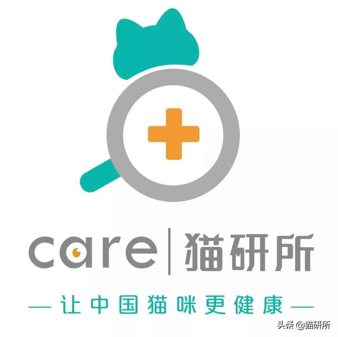 猫蹭到化妆品上怎么办啊(被猫蹭了一下怎么办)插图24 猫蹭到化妆品上怎么办啊(被猫蹭了一下怎么办)插图24