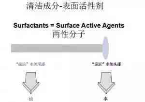 化妆品里有什么(化妆品里有什么成分不能用)插图3