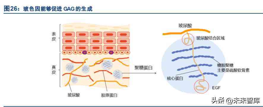 化妆品超声波提取过程(化妆品提取技术)插图5