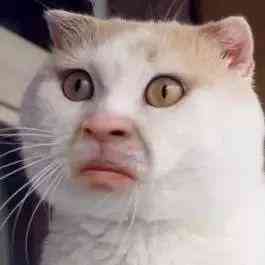 涿州化妆品代购(涿州化妆品代购店)插图2