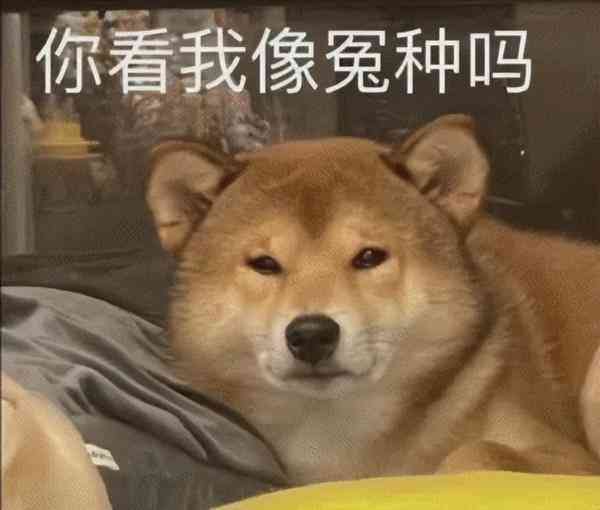 商场化妆品价格表图片卡通(化妆品店卡通图片)插图62