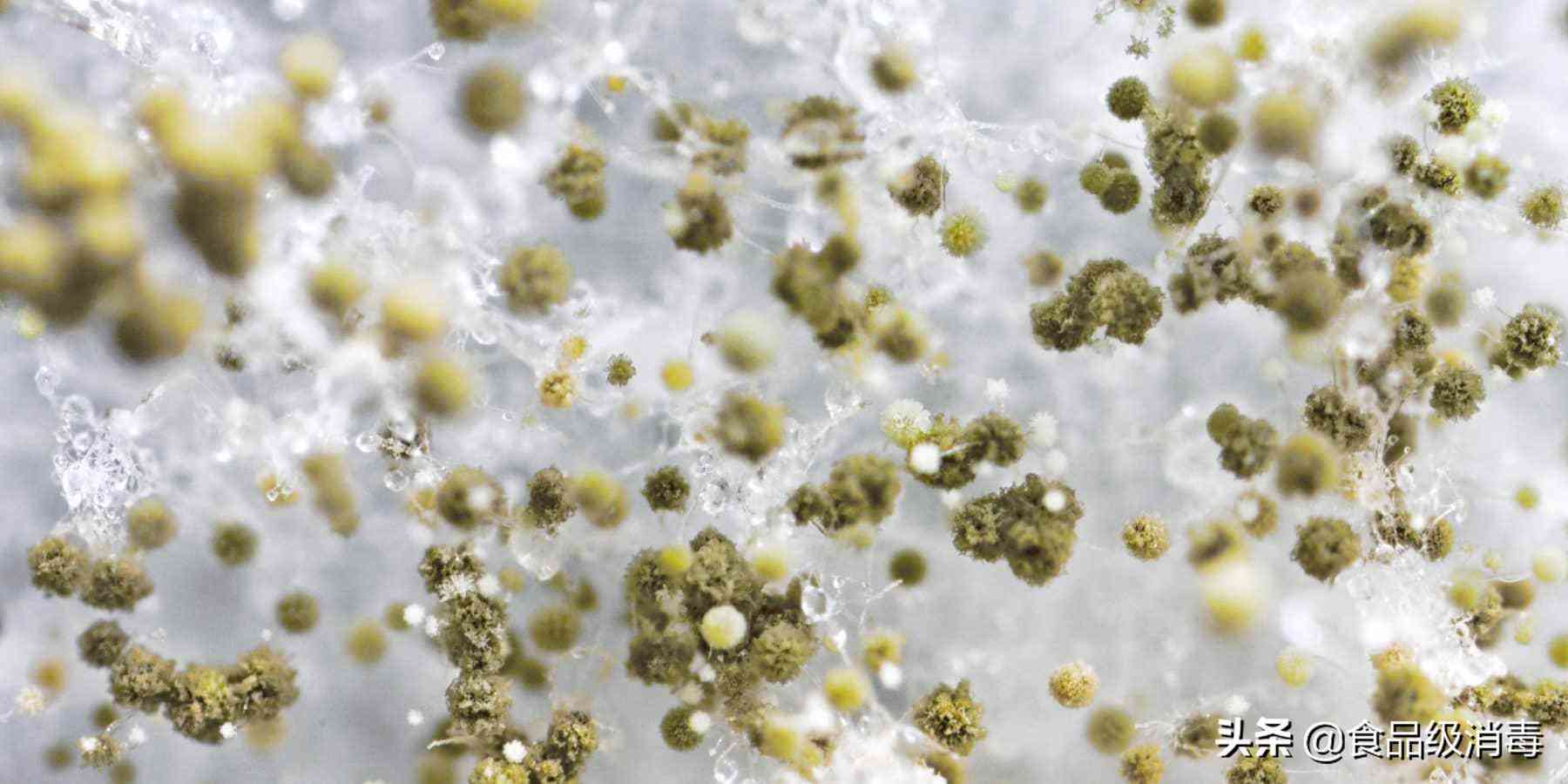 化妆品可以在水里消毒吗(消毒水可以擦皮肤吗)插图1