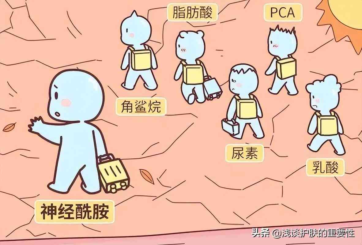 化妆品补水型和保湿型(化妆品补水和保湿的区别)插图1