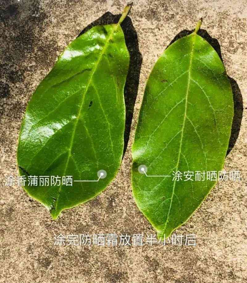 什么是可以一起用的化妆品(各种品牌的化妆品可以一起用吗)插图14 什么是可以一起用的化妆品(各种品牌的化妆品可以一起用吗)插图14