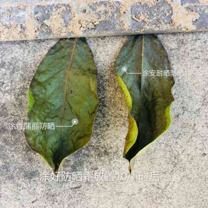 什么是可以一起用的化妆品(各种品牌的化妆品可以一起用吗)插图15 什么是可以一起用的化妆品(各种品牌的化妆品可以一起用吗)插图15