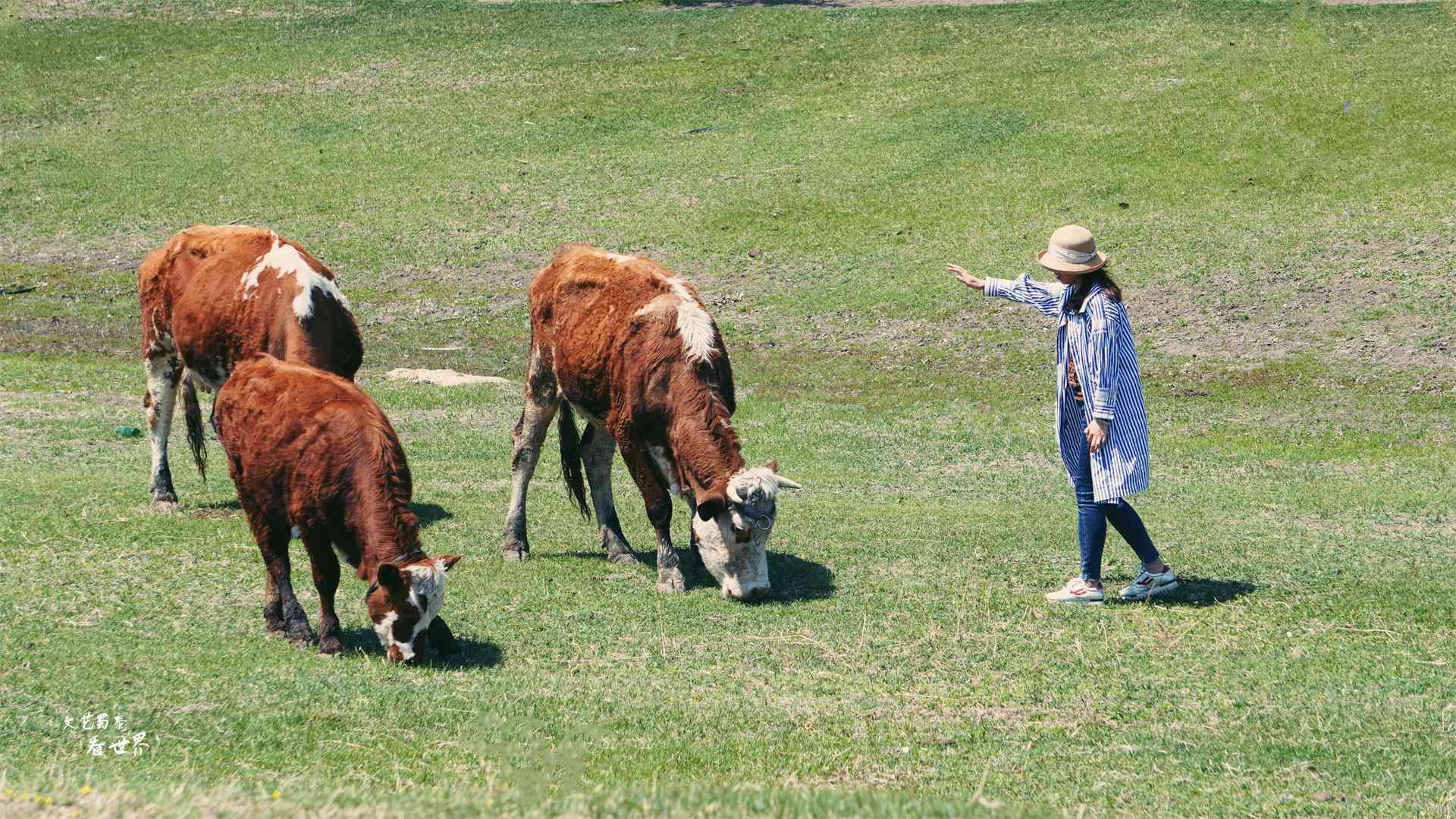 沈阳化妆品分装青草(沈阳市青草电子商务有限公司)插图3