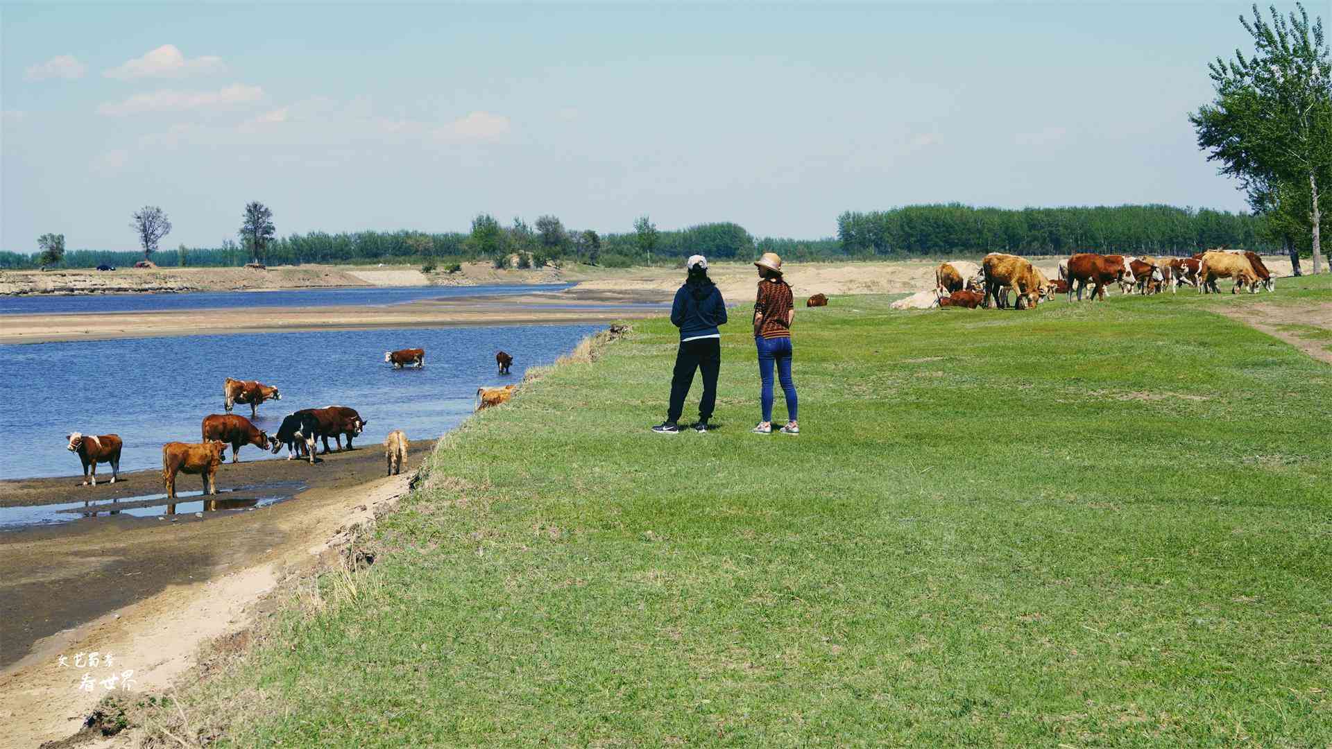 沈阳化妆品分装青草(沈阳市青草电子商务有限公司)插图4