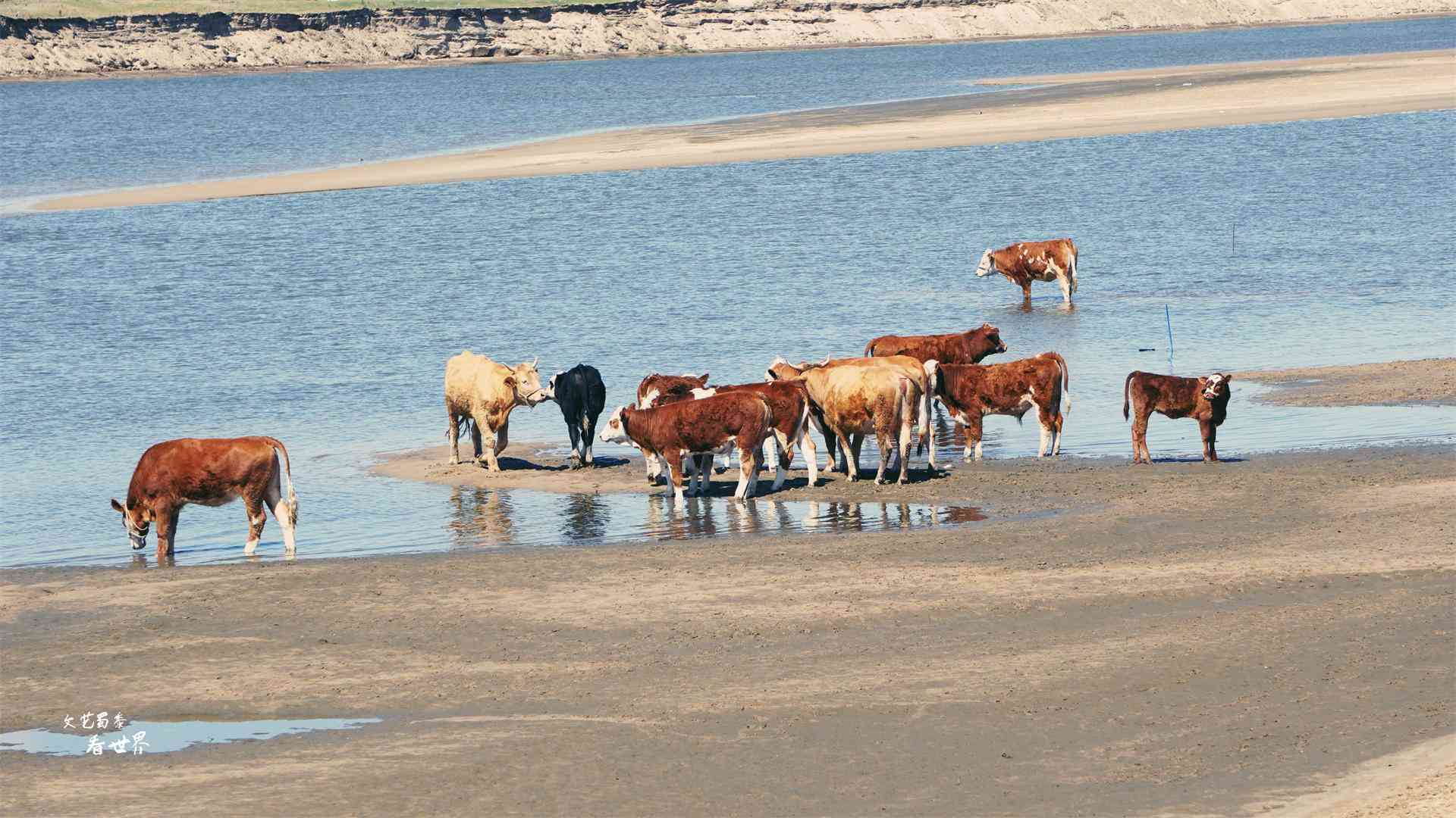 沈阳化妆品分装青草(沈阳市青草电子商务有限公司)插图6