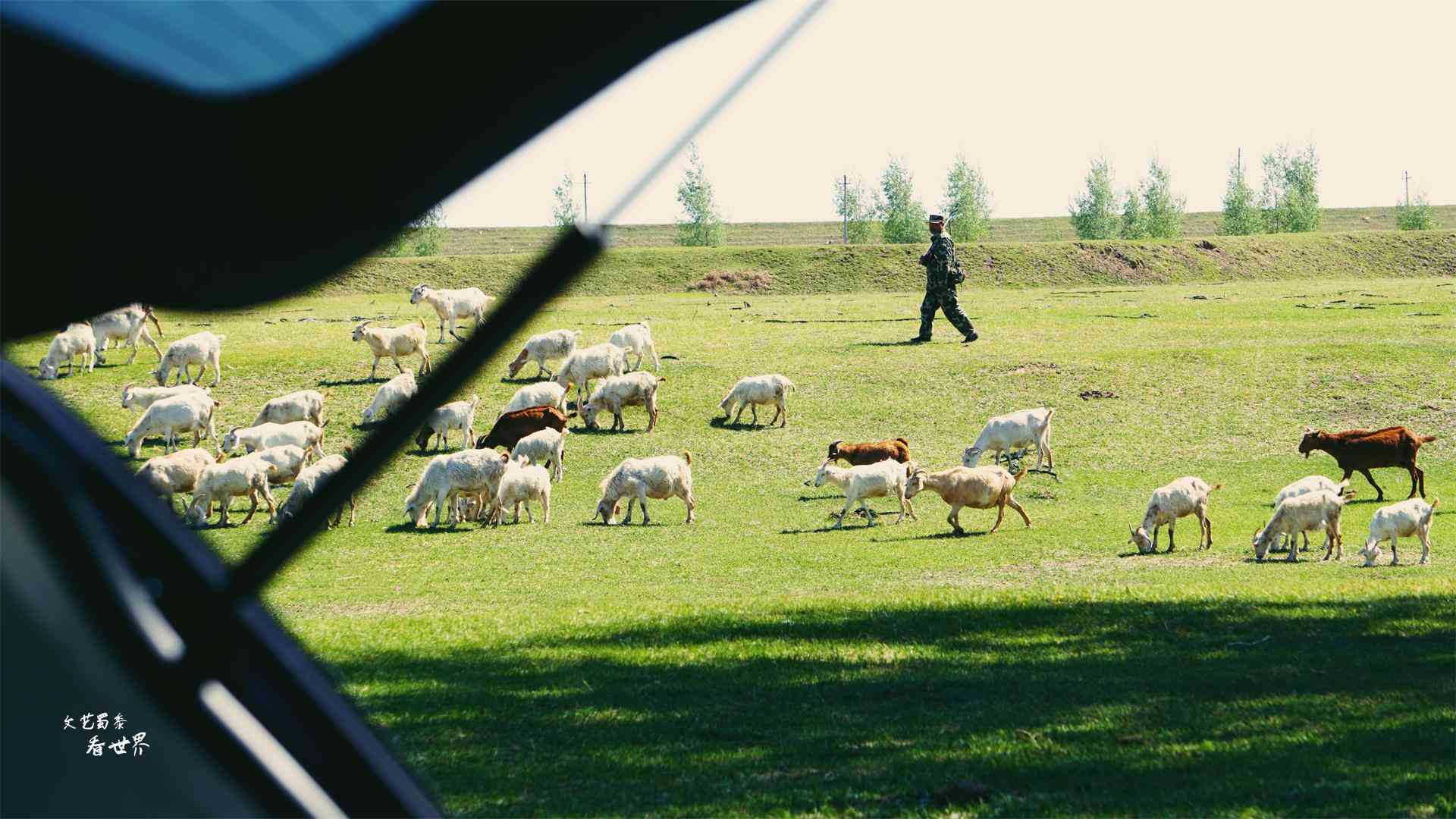 沈阳化妆品分装青草(沈阳市青草电子商务有限公司)插图14