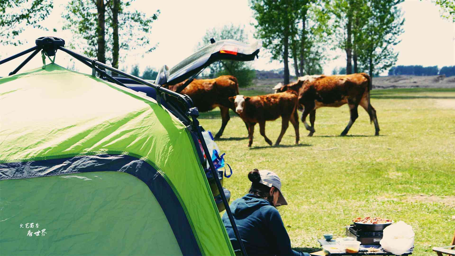 沈阳化妆品分装青草(沈阳市青草电子商务有限公司)插图18