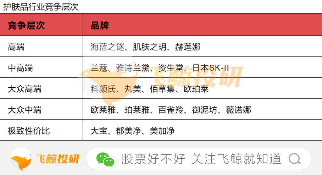 化妆品有多少个大品牌(化妆品有些什么大品牌)插图5