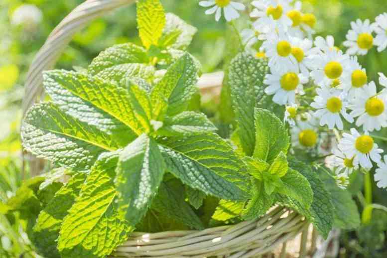 极简油皮化妆品推荐(护肤品油皮推荐)插图1