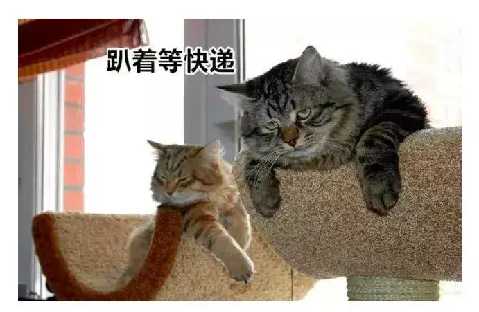 贵重物品化妆品快递暴力(化妆品发什么快递安全)插图4 贵重物品化妆品快递暴力(化妆品发什么快递安全)插图4