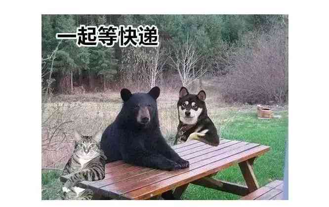 贵重物品化妆品快递暴力(化妆品发什么快递安全)插图5 贵重物品化妆品快递暴力(化妆品发什么快递安全)插图5