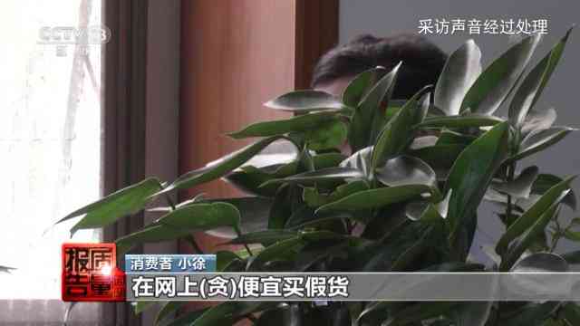 上海圣罗兰化妆品厂(上海哪个商场有圣罗兰化妆品)插图3 上海圣罗兰化妆品厂(上海哪个商场有圣罗兰化妆品)插图3