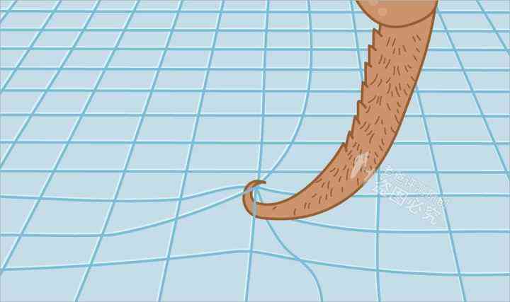 身上化妆品(肌肤化妆品)插图9