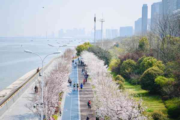 青山湖区美蓝化妆品店(蓝美化妆品有限公司)插图2