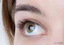 里美化妆品先后顺序(美妆的先后顺序)插图19