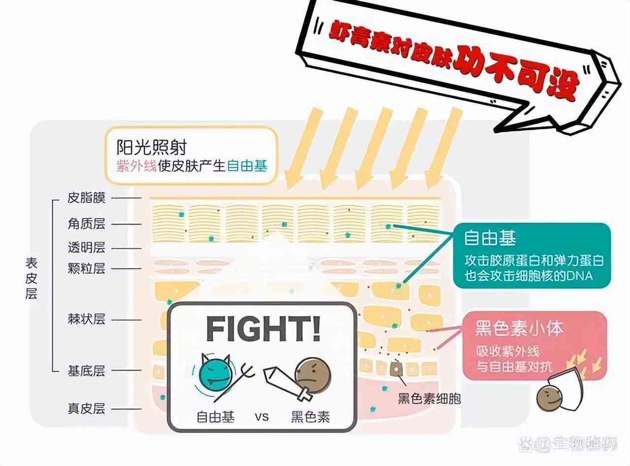 云问化妆品虾青素(虾青素 化妆品)插图2