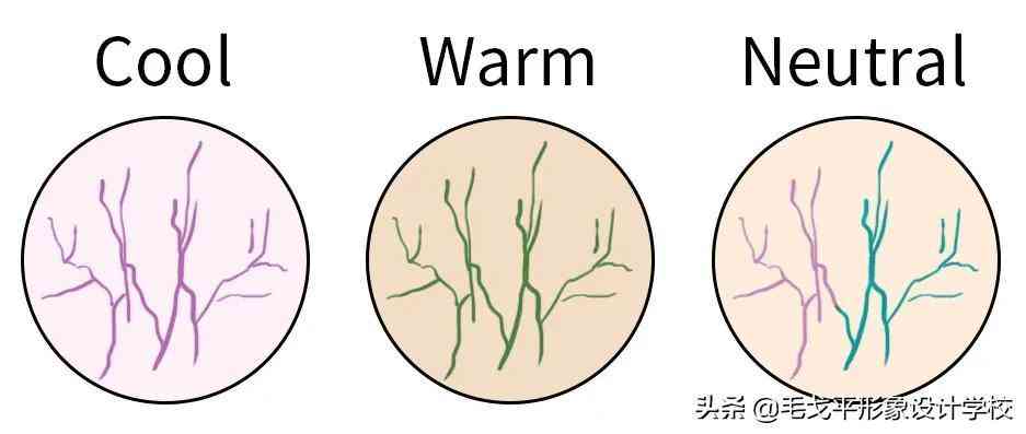 化妆品精致度怎么调高一些(化精致妆容需要哪些化妆品)插图4 化妆品精致度怎么调高一些(化精致妆容需要哪些化妆品)插图4