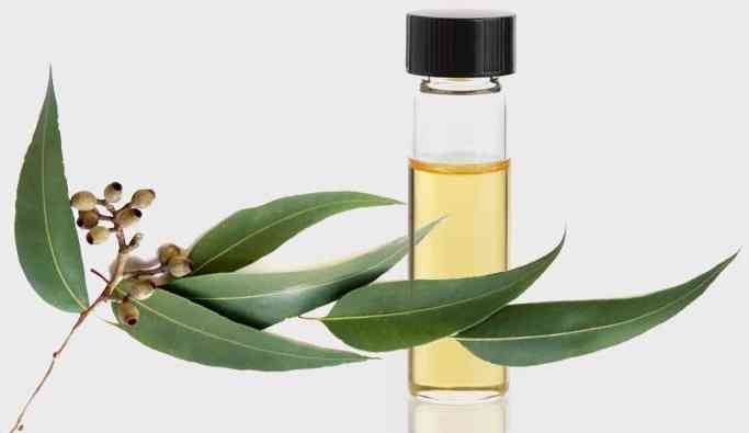 化妆品六大无添加剂(什么化妆品不含添加剂)插图5 化妆品六大无添加剂(什么化妆品不含添加剂)插图5