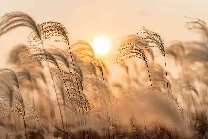 禅水系列化妆品怎么样(婵水化妆品是不是牌子好用吗)插图8