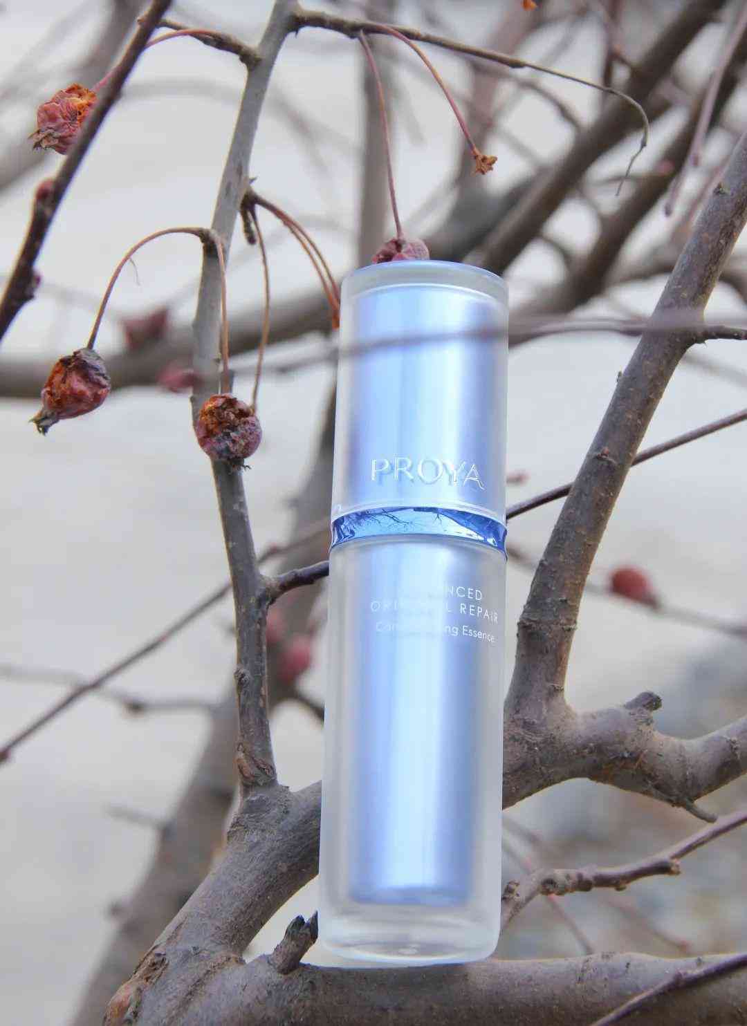 清冷易碎感化妆品(清淡化妆品)插图16 清冷易碎感化妆品(清淡化妆品)插图16