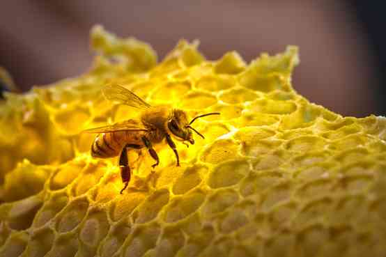 桐庐化妆品哪里买(桐庐化妆品哪里买便宜)插图2 桐庐化妆品哪里买(桐庐化妆品哪里买便宜)插图2