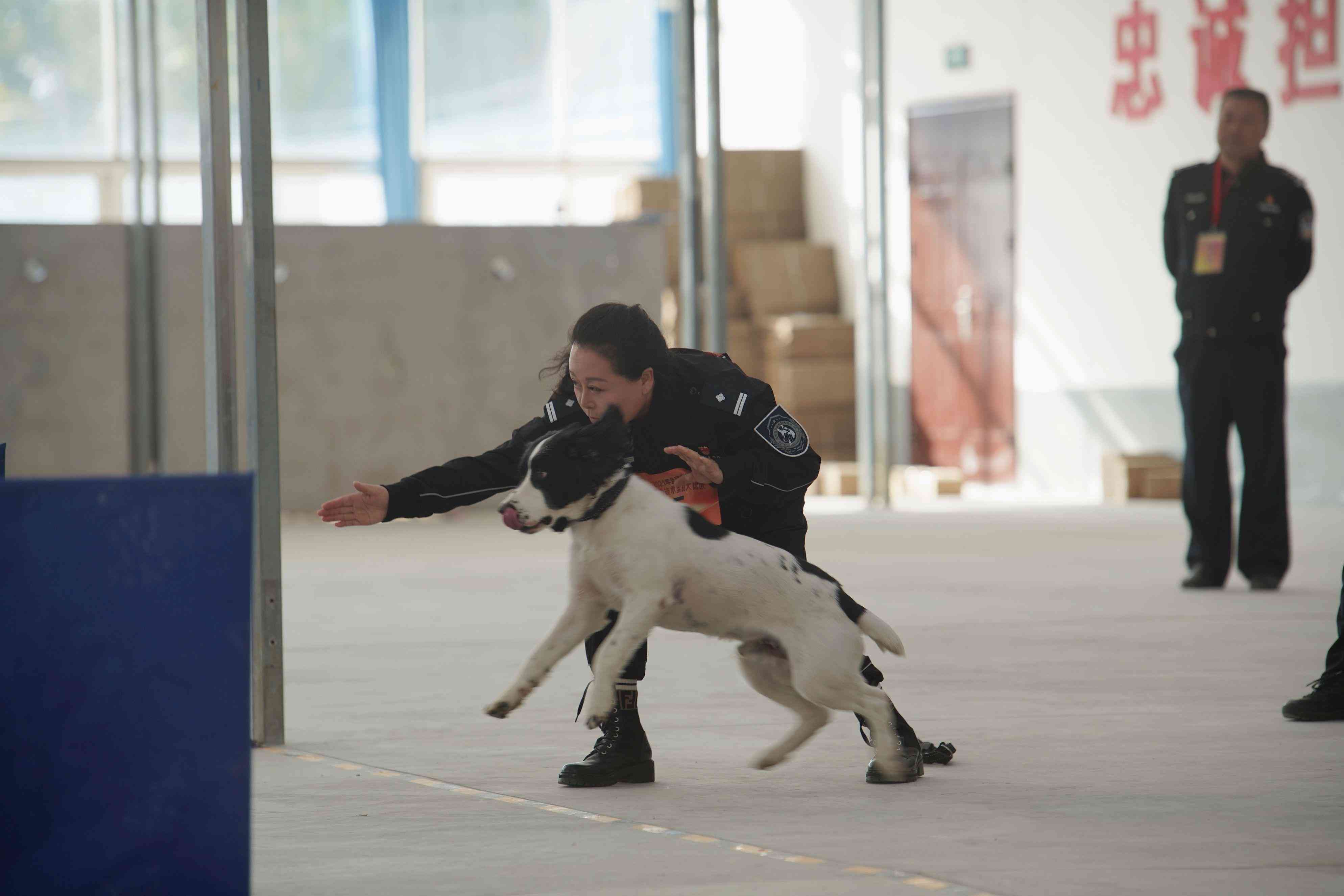 化妆品对警犬嗅觉有干扰嘛(什么东西能影响犬的嗅觉)插图4