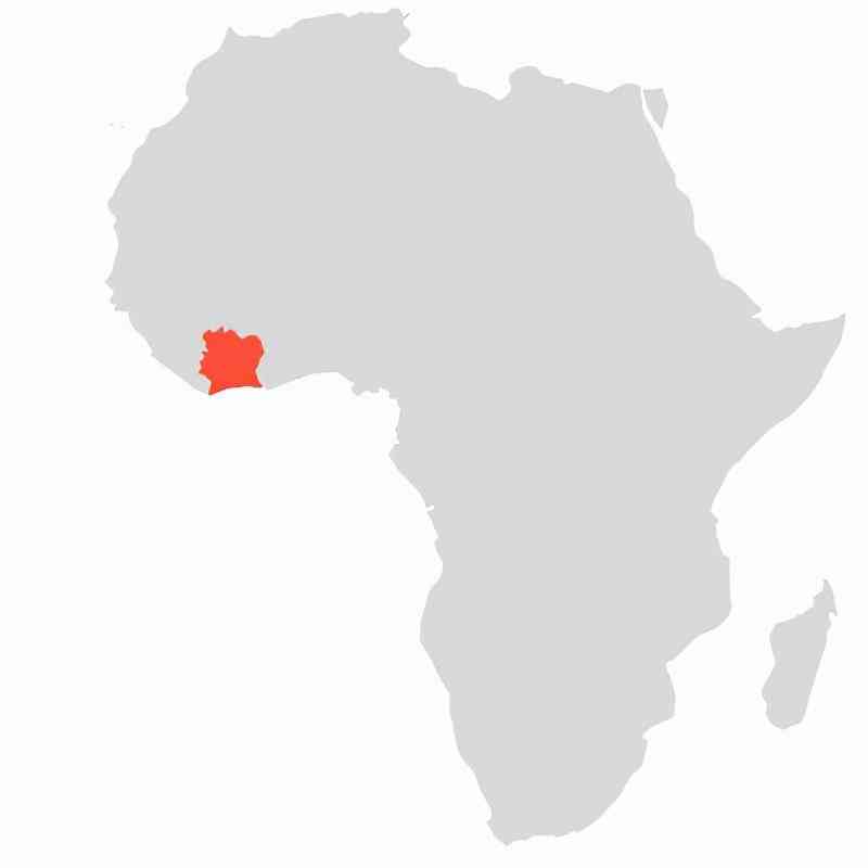 科特迪瓦做化妆品店好做吗(科特迪瓦怎么样)插图9