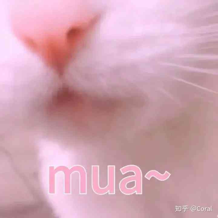 清纯妆容必备化妆品(日常妆必备化妆品)插图11