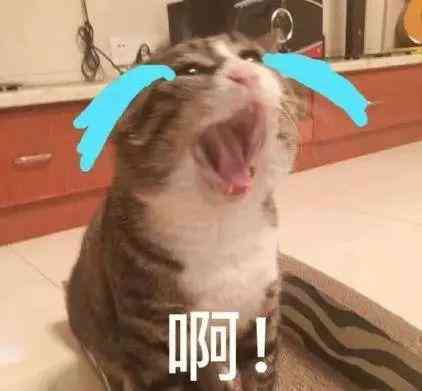 化妆品太贵了怎样回答(化妆品太贵了怎样回答客户)插图21