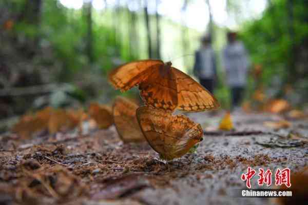 蝶美化妆品加盟地址(蝶美化妆品加盟地址查询)插图3