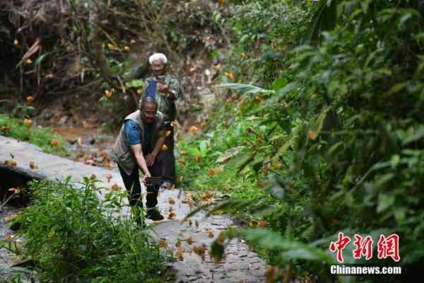 蝶美化妆品加盟地址(蝶美化妆品加盟地址查询)插图6