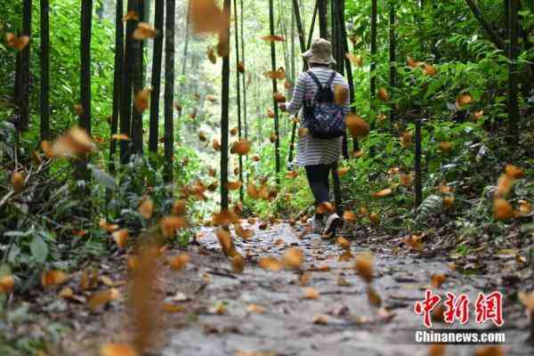 蝶美化妆品加盟地址(蝶美化妆品加盟地址查询)插图9