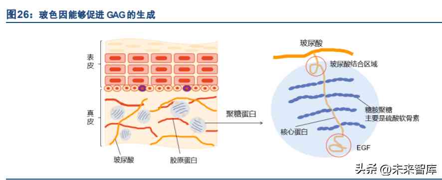 关于化妆品方面的科研论文(对化妆品成分的研究的论文)插图5