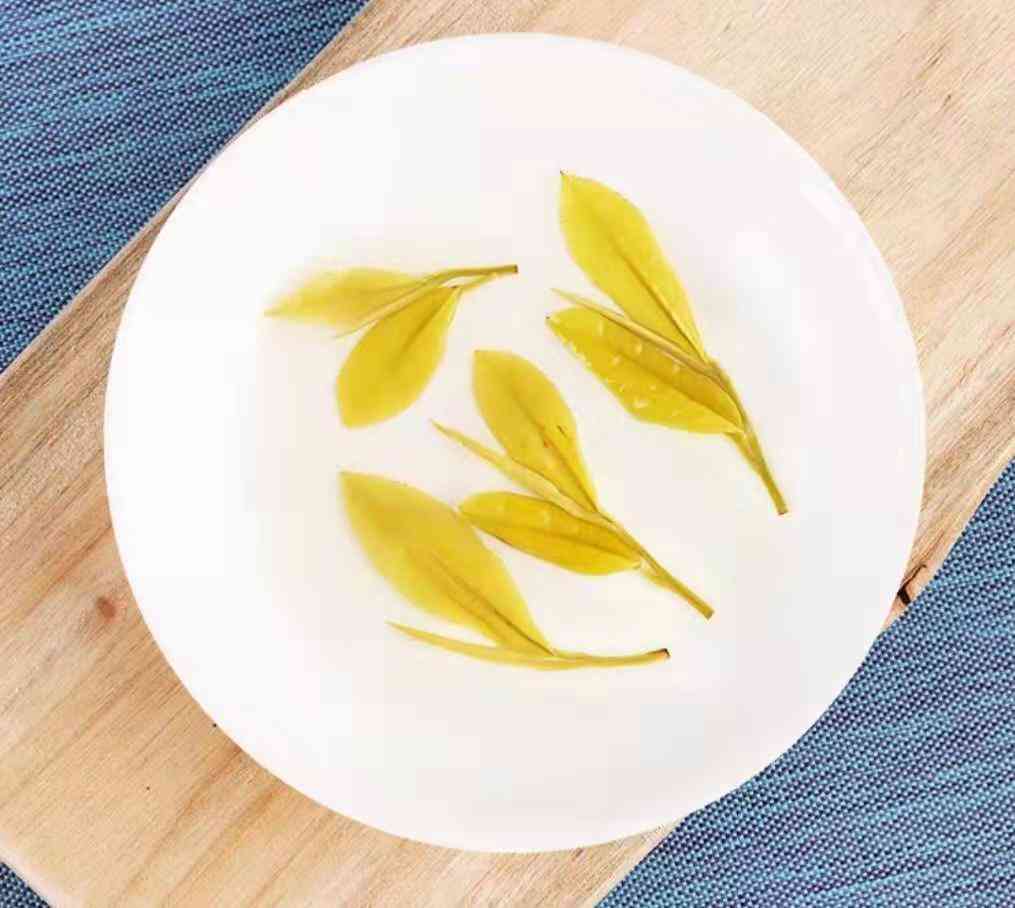 黄金芽茶叶价格一般在多少插图2